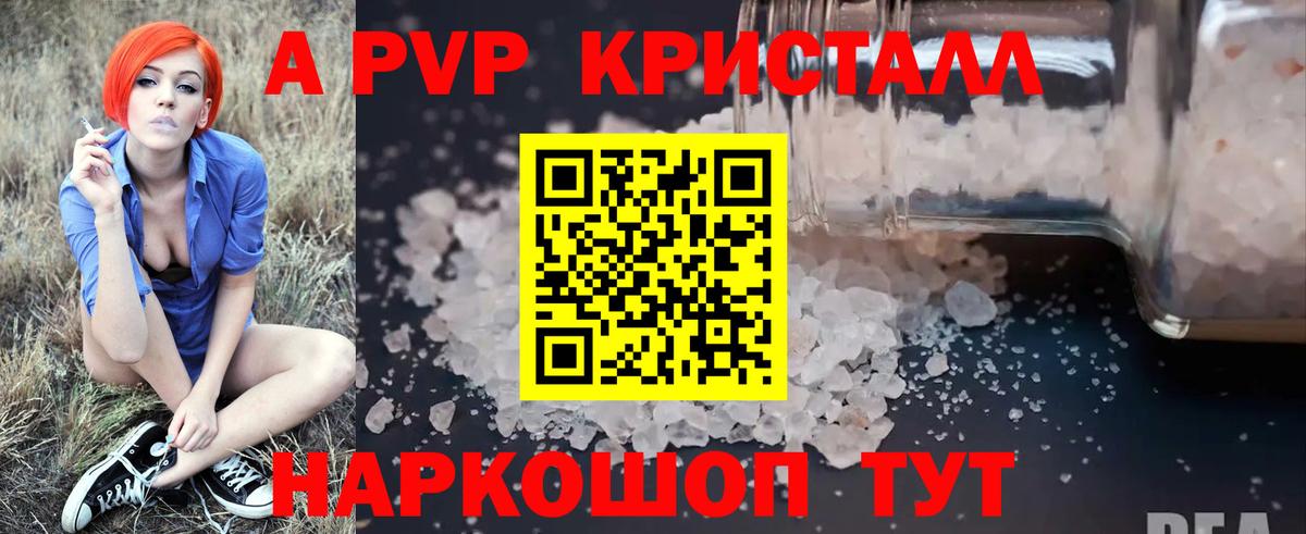 Alfa_PVP СК Ярославль