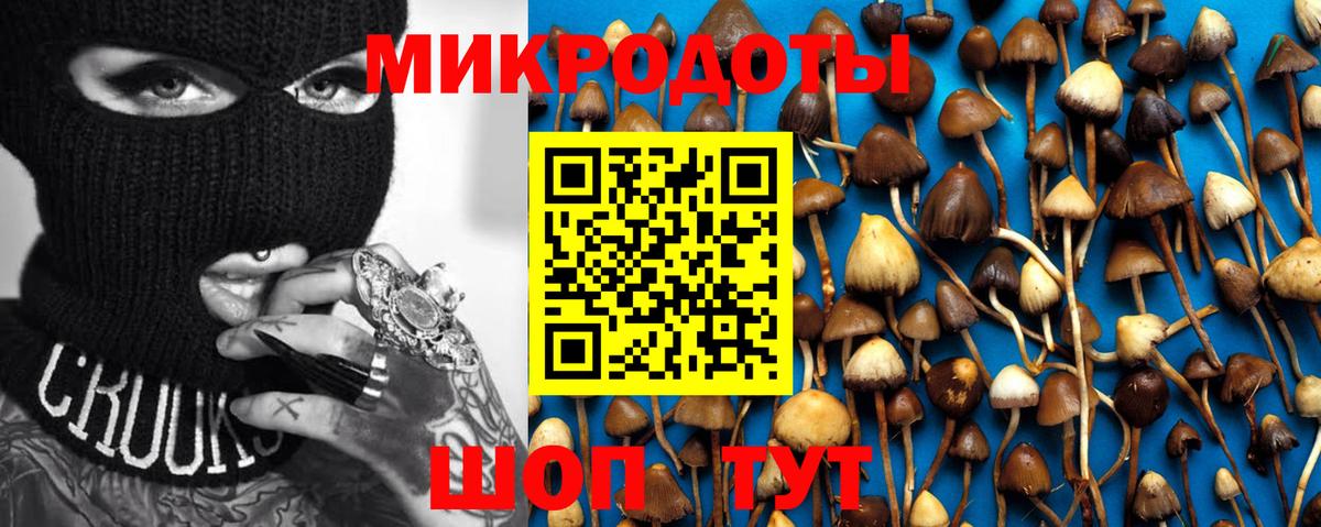 Галлюциногенные грибы Psilocybine cubensis  закладка  Ярославль  Вход с VPN  Галлюциногенные грибы мицелий 