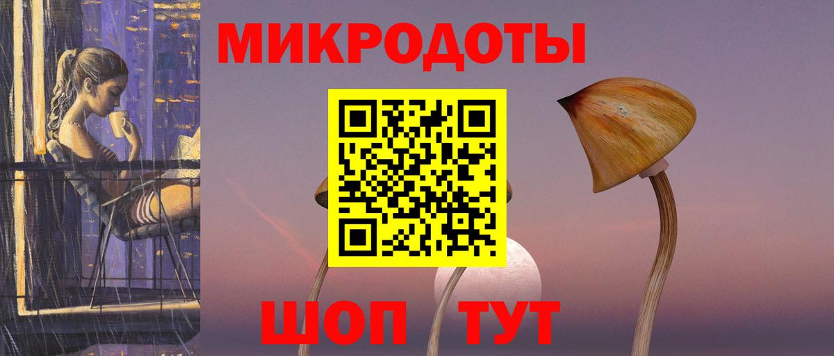 Псилоцибиновые грибы Psilocybe Ярославль